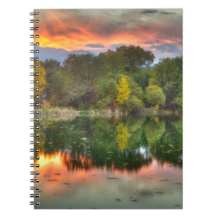 Reflection Spiral Notebook