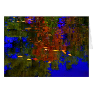 Reflections