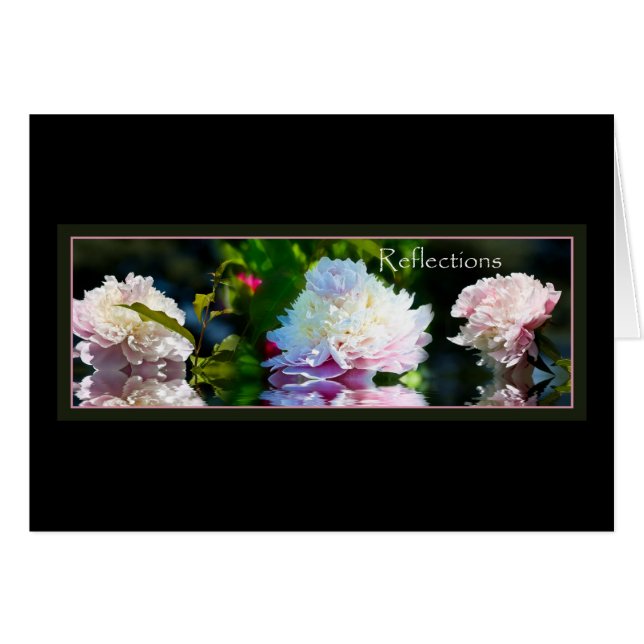 Reflections (Front Horizontal)