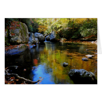 Reflections at Big Creek