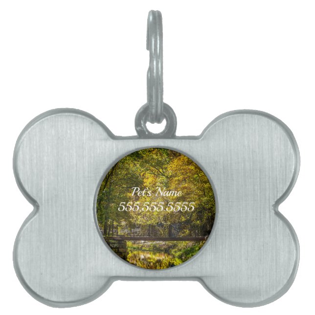 Reflections Beginning Painterly Pet ID Tag (Front)