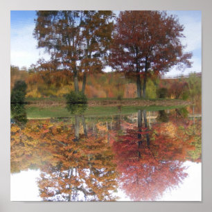 Reflections Canvas Poster