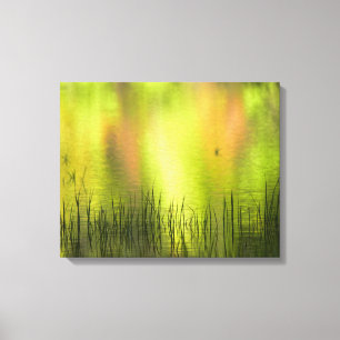 Reflections in Mirror Lake   Yosemite Canvas Print