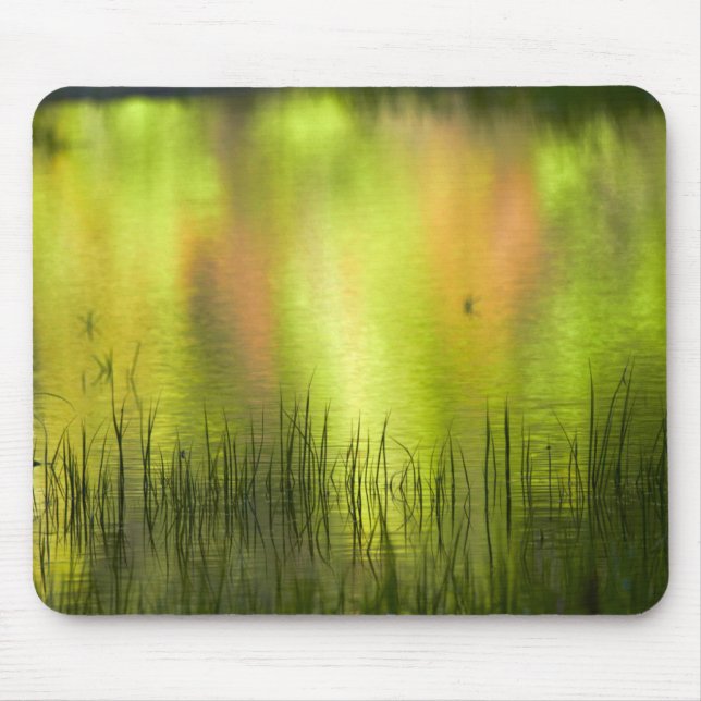 Reflections in Mirror Lake | Yosemite Mouse Pad (Front)