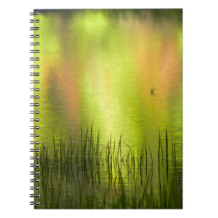 Reflections in Mirror Lake   Yosemite Notebook
