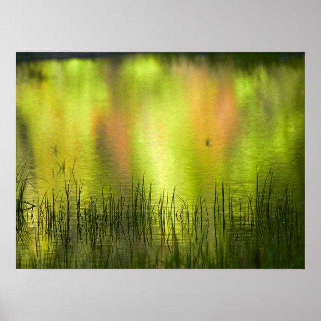 Reflections in Mirror Lake | Yosemite Poster (Front)