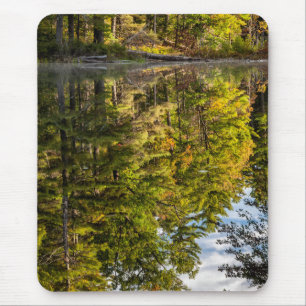Reflections in Red Eagle Pond White Mountains Mouse Pad