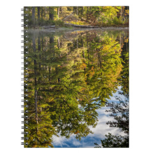 Reflections in Red Eagle Pond   White Mountains Notebook