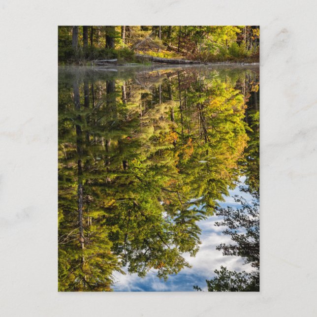 Reflections in Red Eagle Pond | White Mountains Postcard (Front)