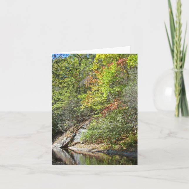 Reflections in the Swimming Hole Card (Front)