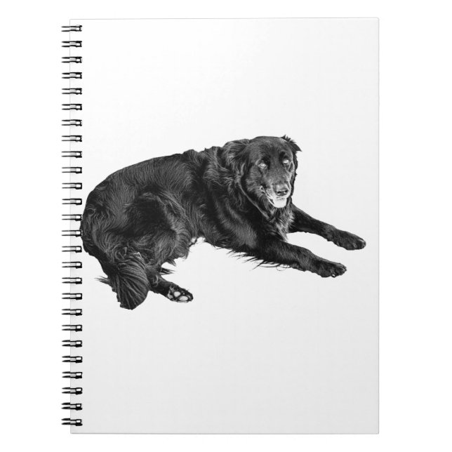 Reflections Kept for Colder Days Notebook (Front)