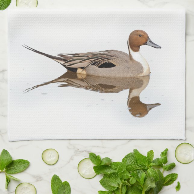 Reflections of a Northern Pintail Duck Tea Towel (Folded)
