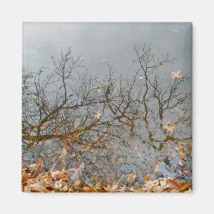 Reflections of Autumn Magnet