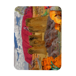 REFLECTIONS OF OZ    Australian Outback Magnet