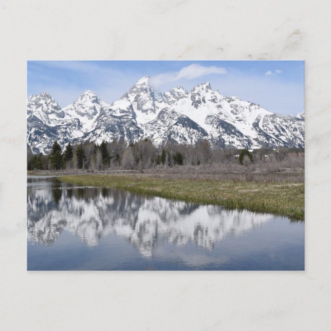 Reflections of the Grand Tetons Postcard (Front)