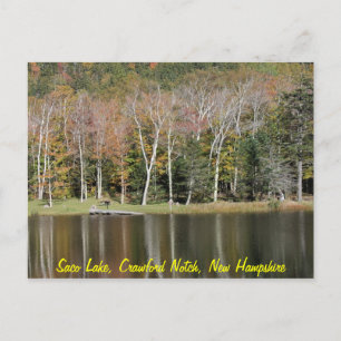 Reflections on Saco Lake Postcard