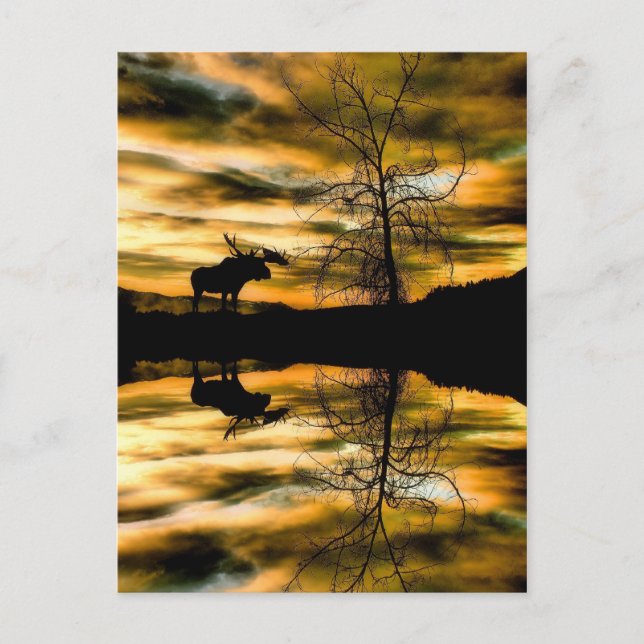   Reflections Post Card (Front)