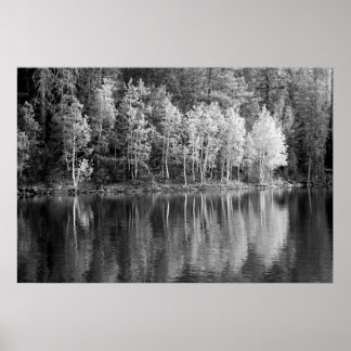 Reflections Poster