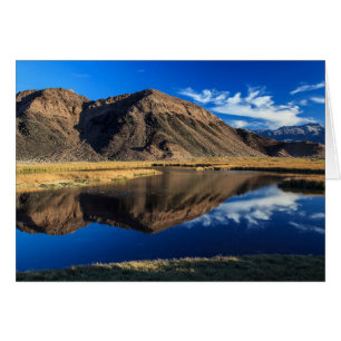 Reflective Isolation