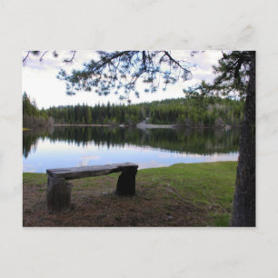 Reflective Morning Moment Postcard