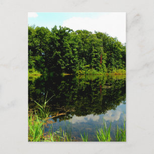 Reflective Ponds Postcard