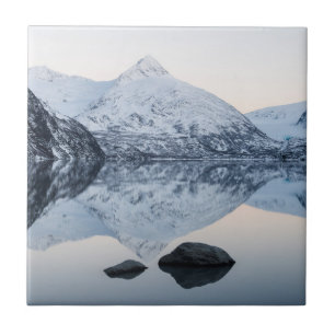 Reflective Portage Lake Tile
