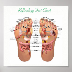 reflexology poster