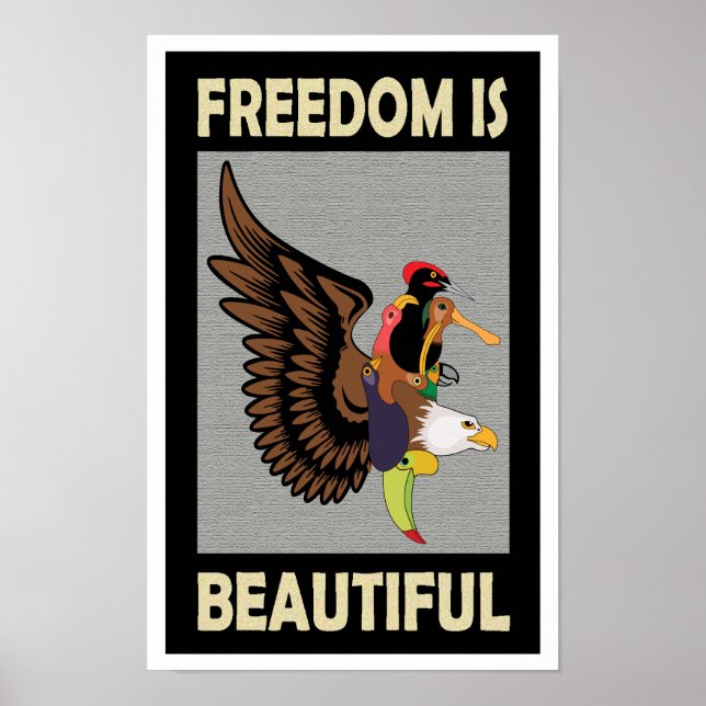 Refreshing colourful birds flying poster (Front)