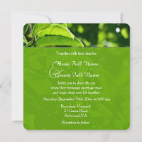 Refreshing spring, summer green leaves wedding