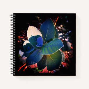 Refreshment  notebook