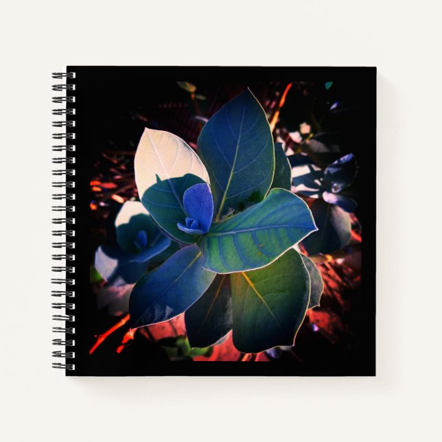 Refreshment  notebook (Front)