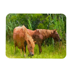 Refrigerator Magnet Assateague Wild Horses