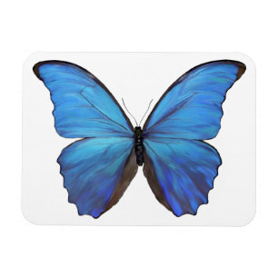Refrigerator Magnet Blue Butterfly