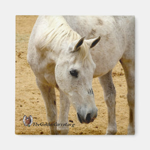 Refrigerator Magnet "Lester"