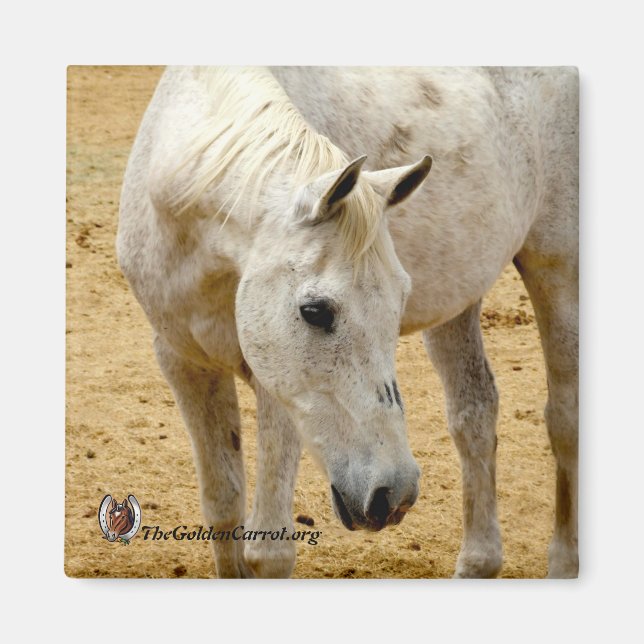 Refrigerator Magnet "Lester" (Front)