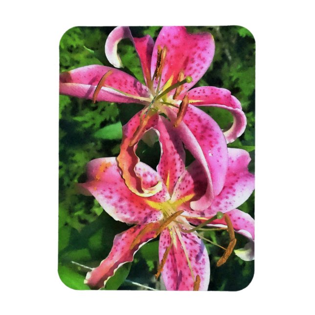 Refrigerator Magnet Pink Lilies (Vertical)