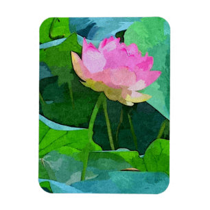 Refrigerator Magnet Pink Lotus Abstract