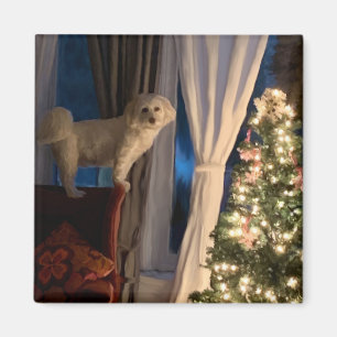 Refrigerator Magnet Waiting for Santa Paws