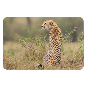 Refrigerator Magnet YOUR Photo Template 4 x 6