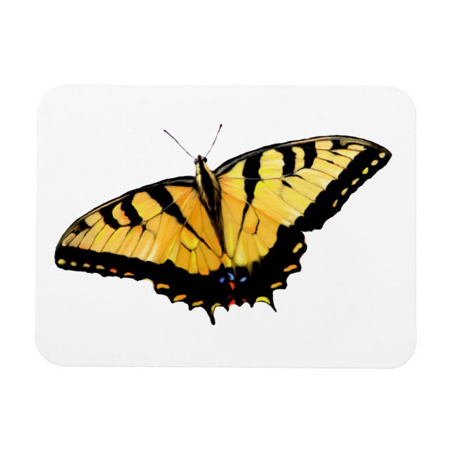 Refrigerator Tiger Swallowtail Butterfly Magnet (Horizontal)