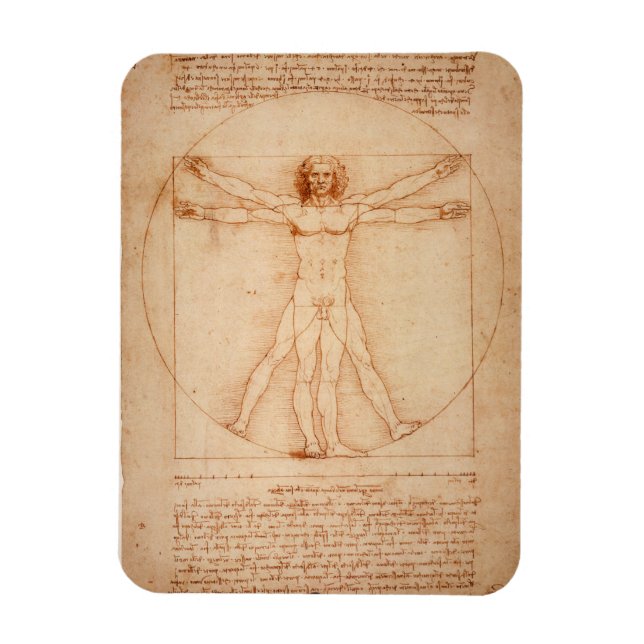 Refrigerator Vitruvian Man by Leonardo da Vinci Magnet (Vertical)