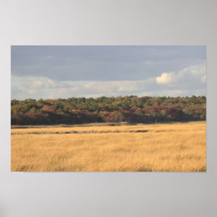 Refuge Landscape Photo Poster
