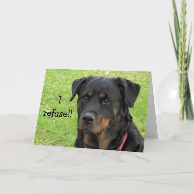Refusing Rottweiler Get Well Card (Front)