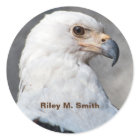 Regal American Bald Eagle Portrait Name