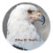 Regal American Bald Eagle Portrait Name