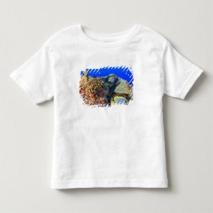 Regal Angelfish Pygoplites diacanthus), Toddler T-Shirt