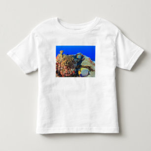 Regal Angelfish Pygoplites diacanthus), Toddler T-Shirt