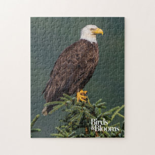 Regal Bald Eagle Jigsaw Puzzle