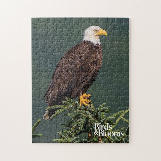 Regal Bald Eagle Jigsaw Puzzle (Vertical)