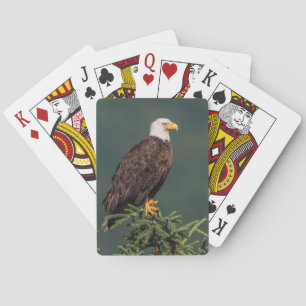 Regal Bald Eagle Playing Cards